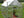 Breeze Polycarbonate Greenhouse – Three sizes available