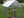 Breeze Polycarbonate Greenhouse – Three sizes available