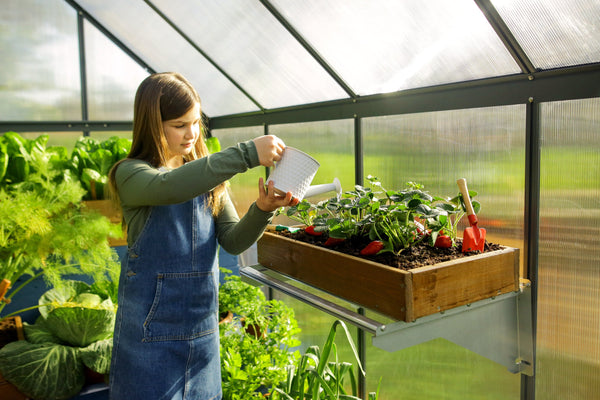 Breeze Polycarbonate Greenhouse – Three sizes available