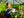 Breeze Polycarbonate Greenhouse – Three sizes available