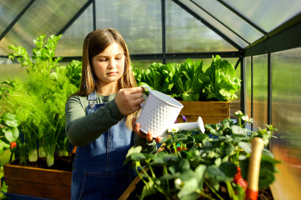 Breeze Polycarbonate Greenhouse – Three sizes available