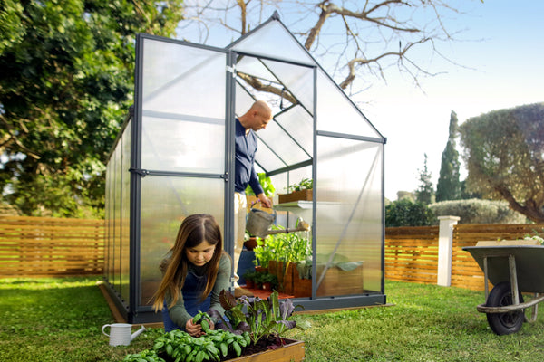 Breeze Polycarbonate Greenhouse – Three sizes available