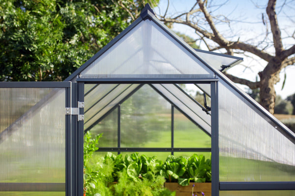 Breeze Polycarbonate Greenhouse – Three sizes available