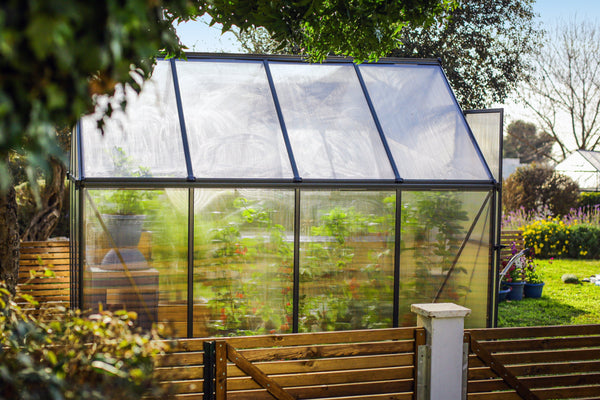 Breeze Polycarbonate Greenhouse – Three sizes available