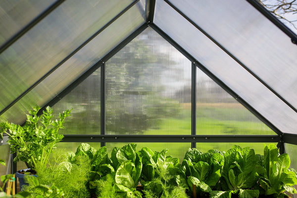 Breeze Polycarbonate Greenhouse – Three sizes available