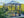 Halo Polycarbonate Greenhouse – Two sizes available