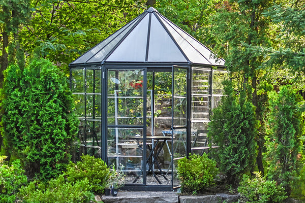 Halo Polycarbonate Greenhouse – Two sizes available