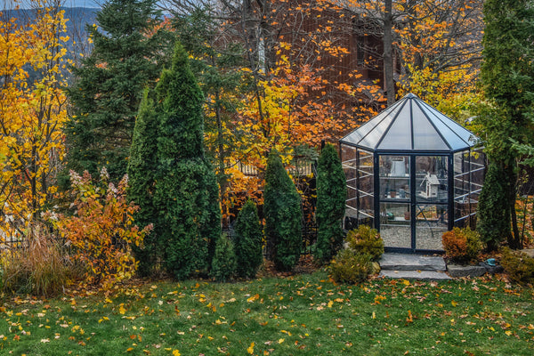 Halo Polycarbonate Greenhouse – Two sizes available