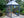 Halo Polycarbonate Greenhouse – Two sizes available