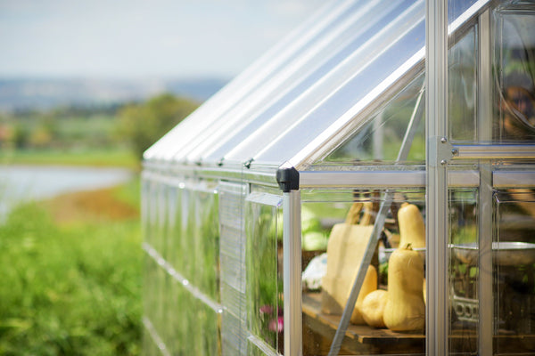 Zenith Polycarbonate Greenhouse