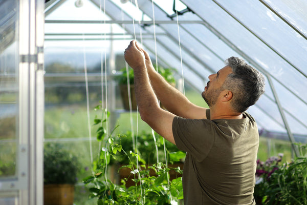 Zenith Polycarbonate Greenhouse