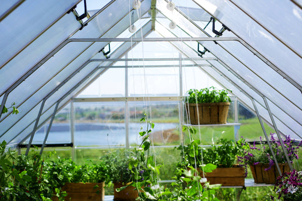 Zenith Polycarbonate Greenhouse